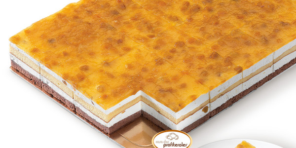 Plancha_GD_Mango_corte_cuadrado.jpg