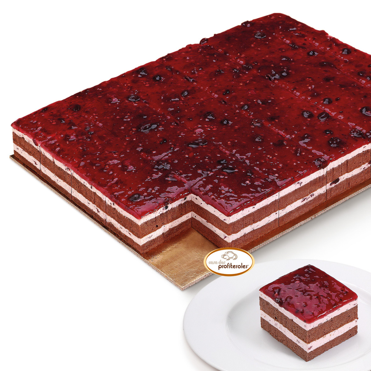 Plancha_GD_Frutos_Silvestres_corte_cuadrado.jpg